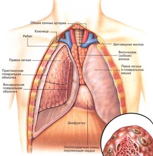 Очищение организма после курения Очищение организма после курения