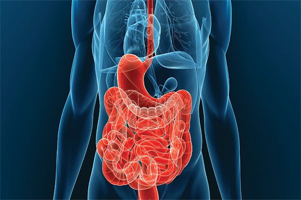 Жкт курение и алкоголь