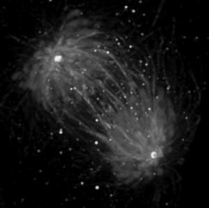 От рака стали умирать реже