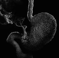 Бразилия: Бросаем курить