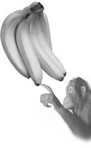 Банановую кожуру тоже можно курить