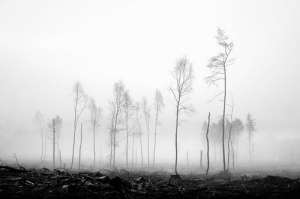 150 фунтов за отказ от курения