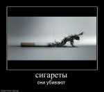Сигареты