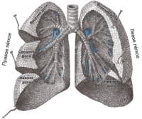 Операции на легких и их последствия
