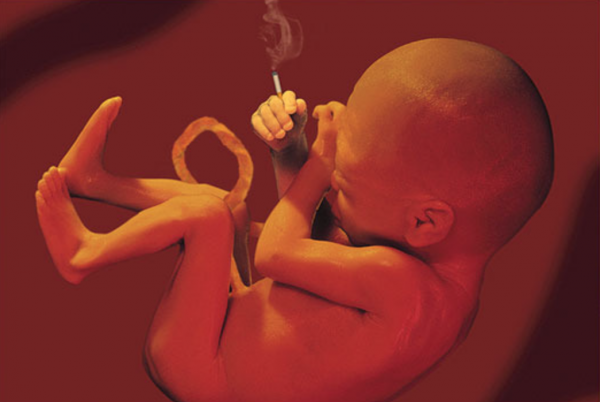 Влияние никотина на плод