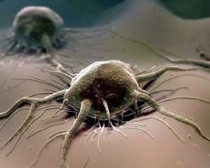 Мутация клеток: никотин, дым и другие «волшебные» средства