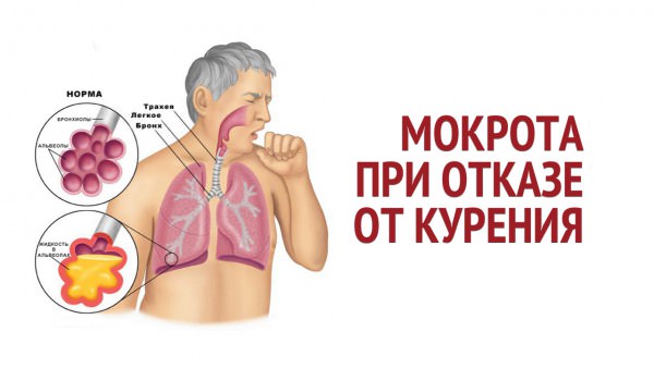 Бросил курить - мокрота